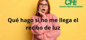 como hago si no me llega el recibo de luz